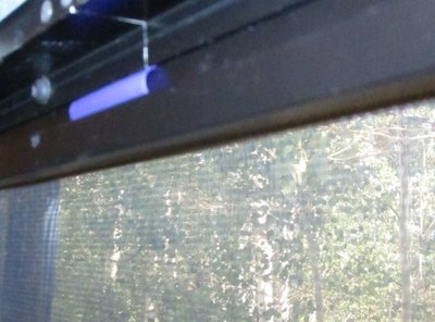 IMG_0204.jpg