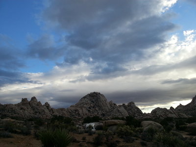 A Chinook hiding among the boulders.