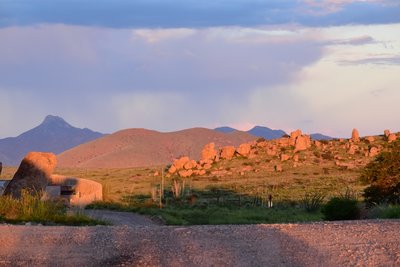 Late afternoon light
