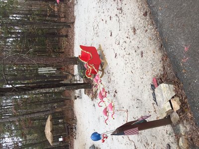 Strange things you see in campgrounds