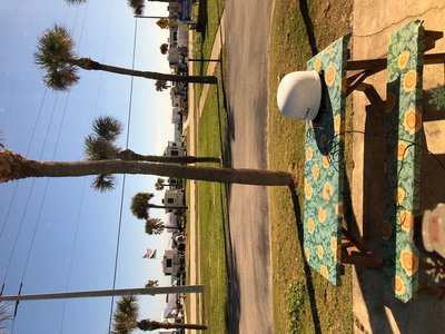 New Years Eve Day and 71 degrees!