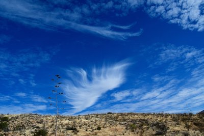 My wife spotted this “angel’s wing” cloud on the way out