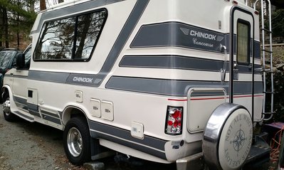 wings rear