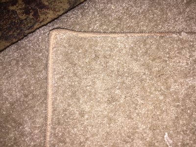 Carpet Edge.JPG
