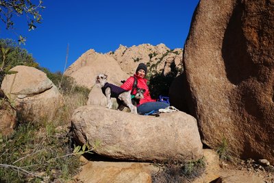 Hiking up through the boulders with a Schnauzer pair