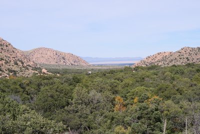 Looking over the campground oak grove to the entrance