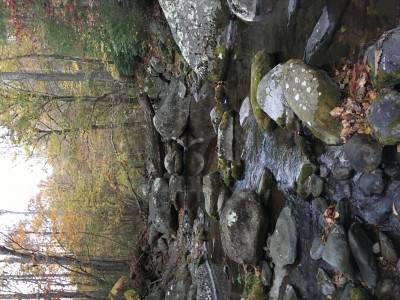 IMG_8317.JPG