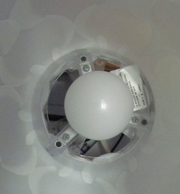 looking down into lamp with globe.jpg